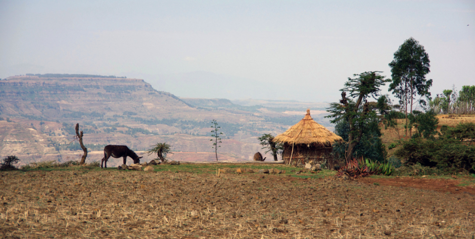 Alem_Katema_Bild_4